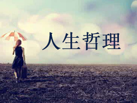 个体的认知发展具有