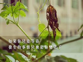 下面属于端系统之间的协议是【】