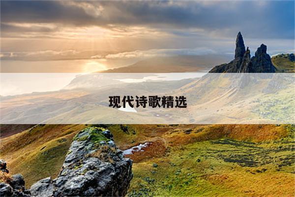 非政府组织员工开发常用的方法有