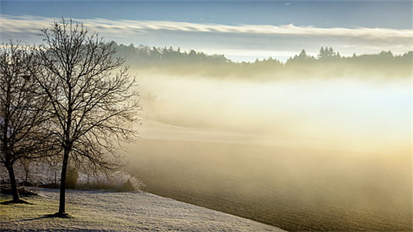 根据舒伯的生涯发展理论，中学生正处于成长阶段的能力期及（）的试探期。